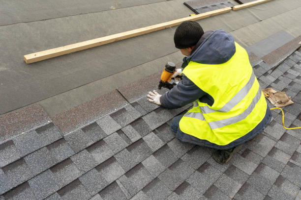 Roof Gutter Cleaning in Athens, TX
